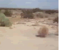 1697810196623.gif